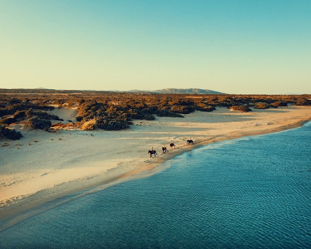 Horse Riding in Rhodes on the Beach · photo 2